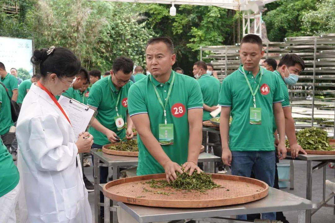 好茶在中茶 | 以赛促学强技能 赛场争相出佳绩_竞赛