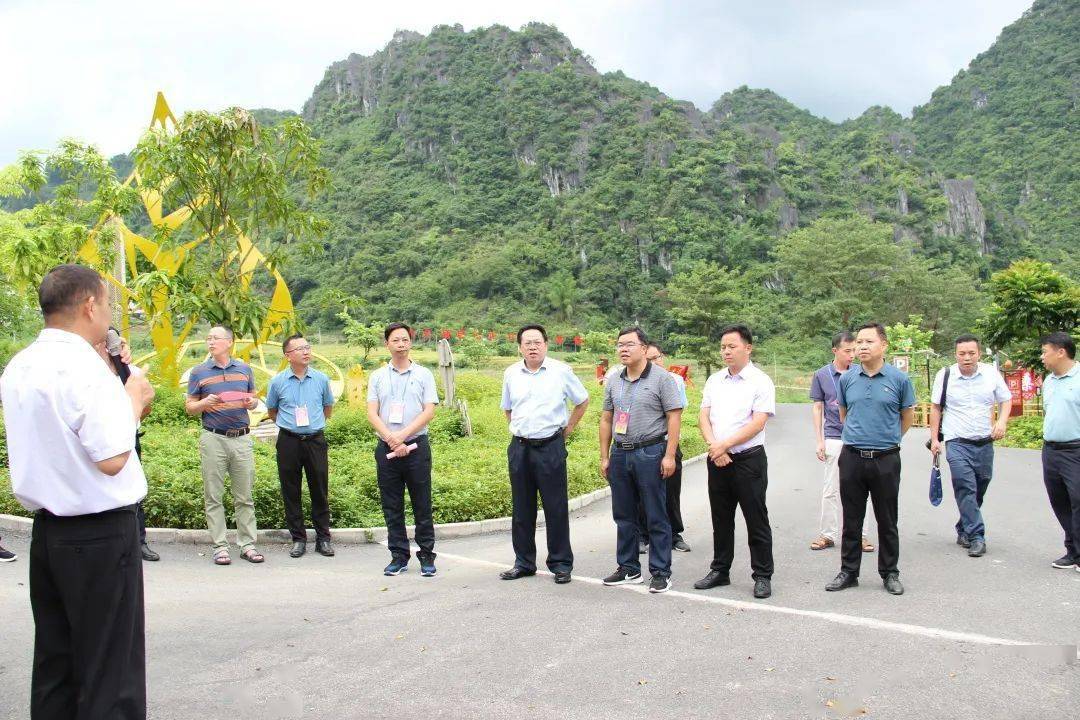 广西雅林兰博园,火卖地质公园研学基地和凌云县的百色市鸿顺高级中学