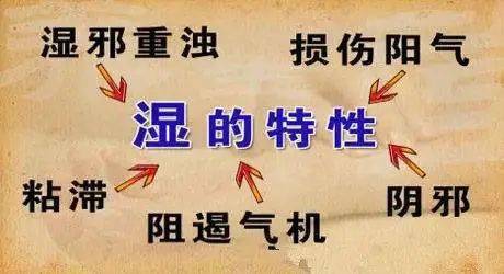 三伏天拍这里5分钟逼出体内90的湿气和浊气