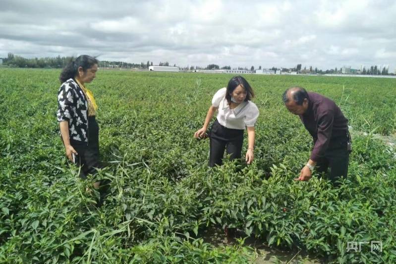 乌兰察布兴和小妹上门网络品茶(徴⒎o⒐o04〗新茶.嫩茶.品茶.