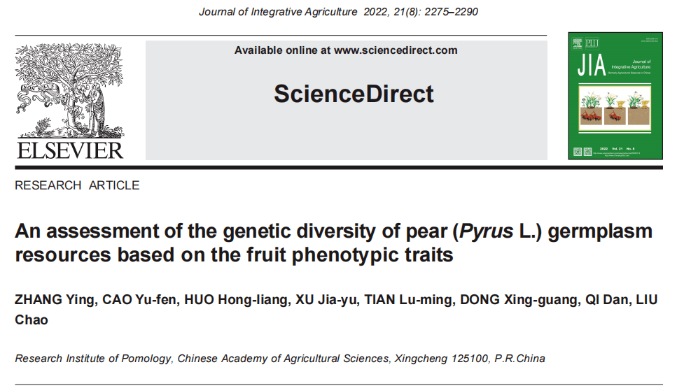 中国农科院果树研究所曹玉芬研究员团队梨种质资源果