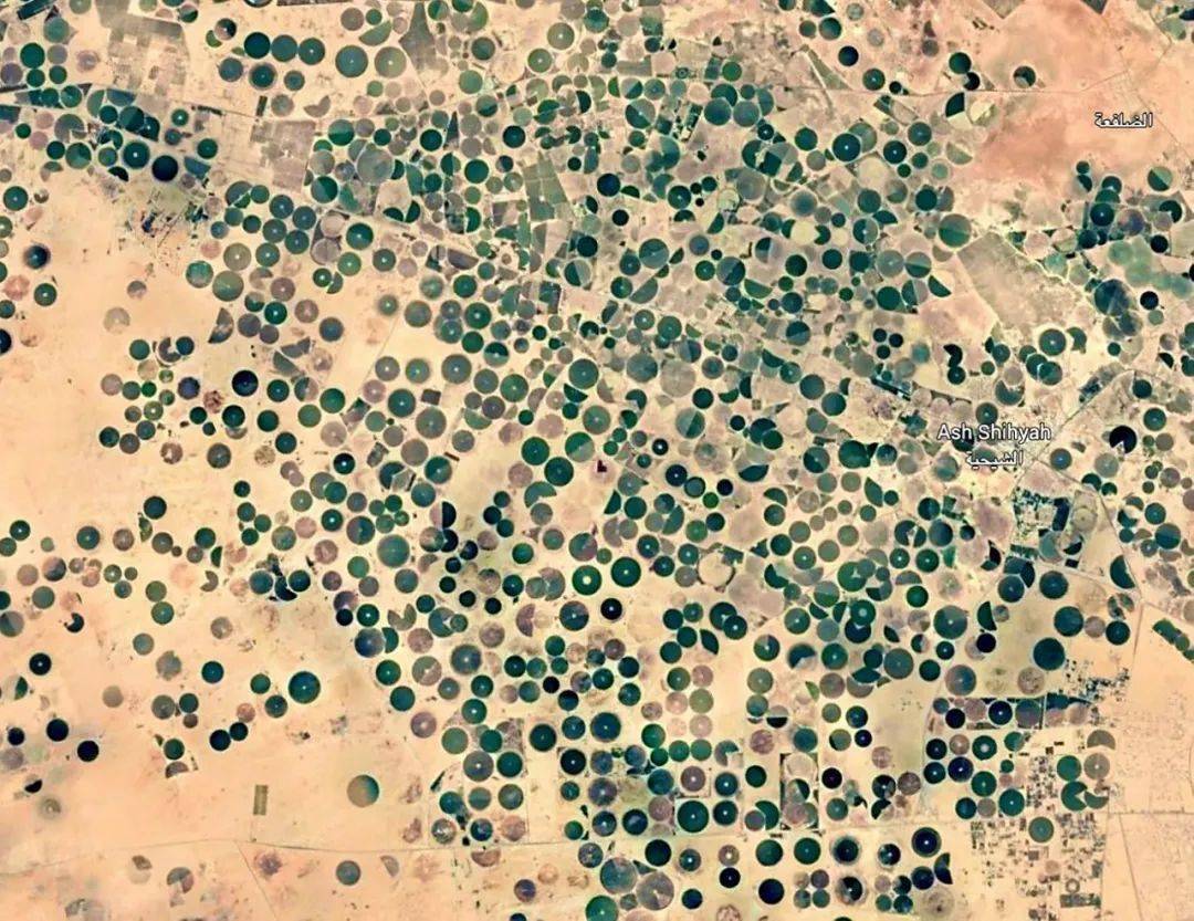 һ�γ���ɳ��ȫ��Ҭ�����࣡��ȥ�������ι���ȫ������ ...