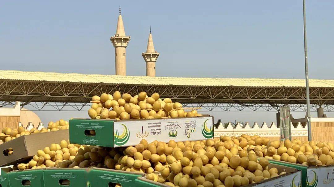 һ�γ���ɳ��ȫ��Ҭ�����࣡��ȥ�������ι���ȫ������ ...