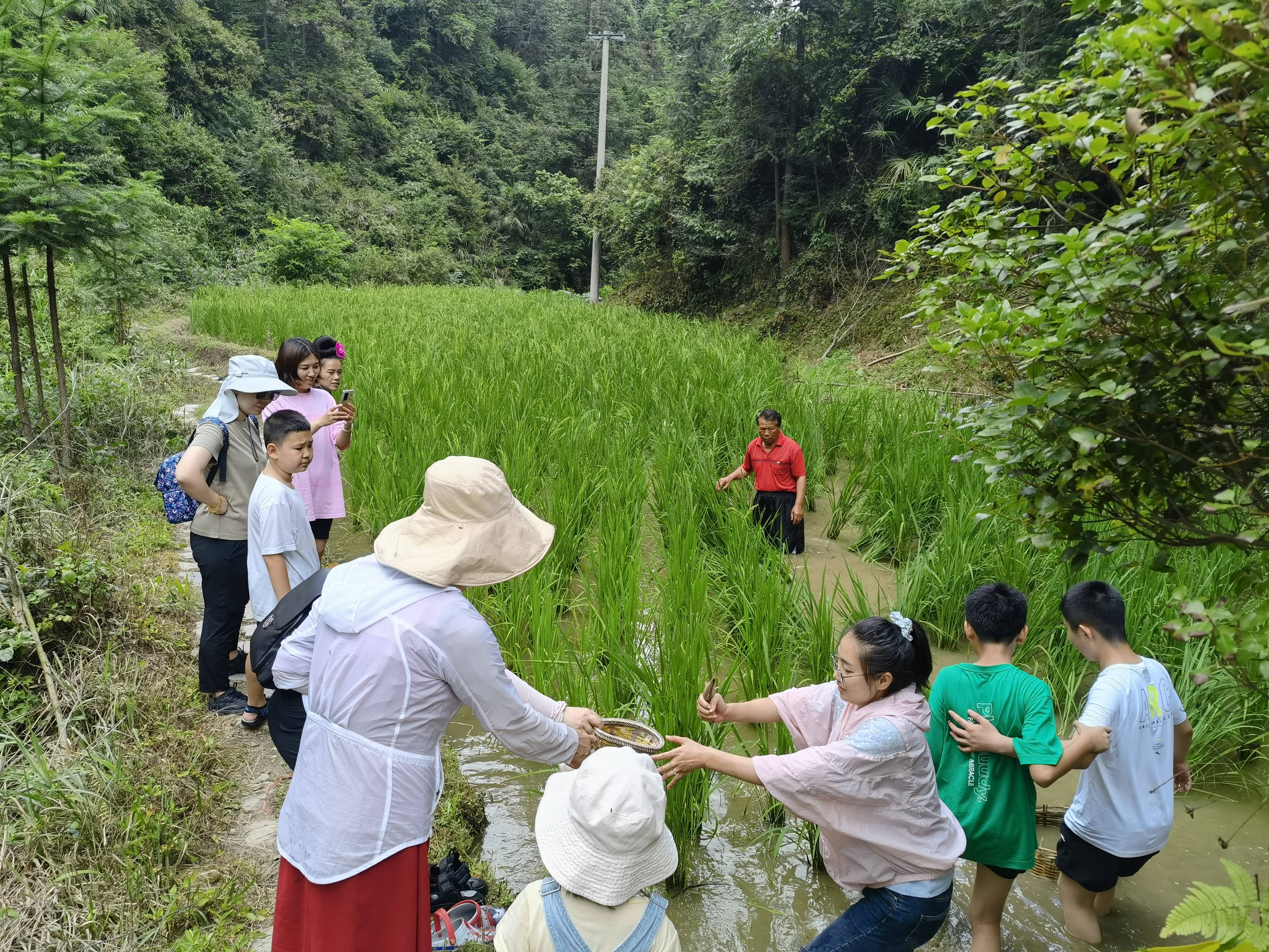 贵州台江：研学旅游“一条线”绣出乡村振兴 最美画卷