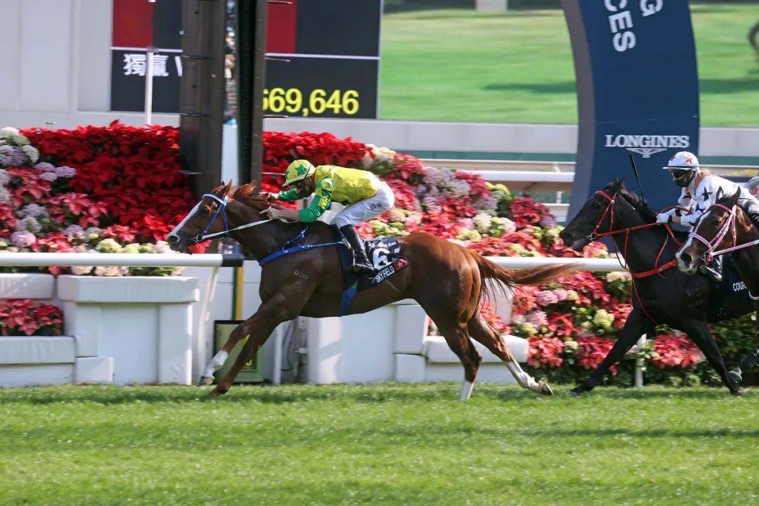 ���̨����ңԶ�ǿա������������֮��