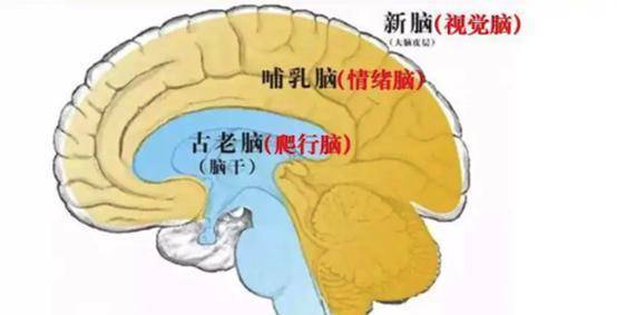 让过来人告诉你大实话_情绪_时候_都会