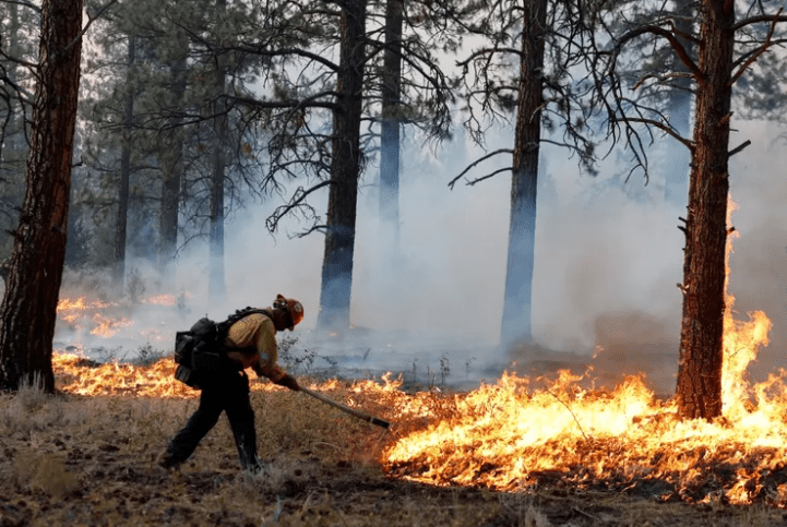 美加州野火蔓延近4000英亩：烧毁房屋要道 数千人紧急撤离(图)