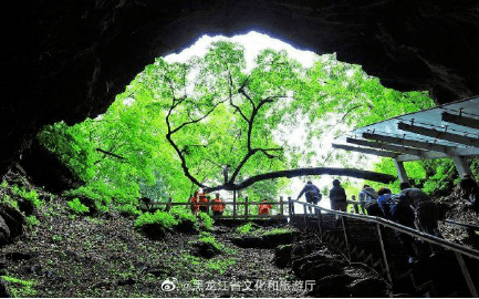 暑热已过，景美风清 黑龙江自驾游正当时——牡丹江森林康养游