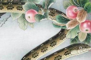 生肖蛇属蛇的朋友在2018年的下半年运势将会非常旺,是个翻身的大好