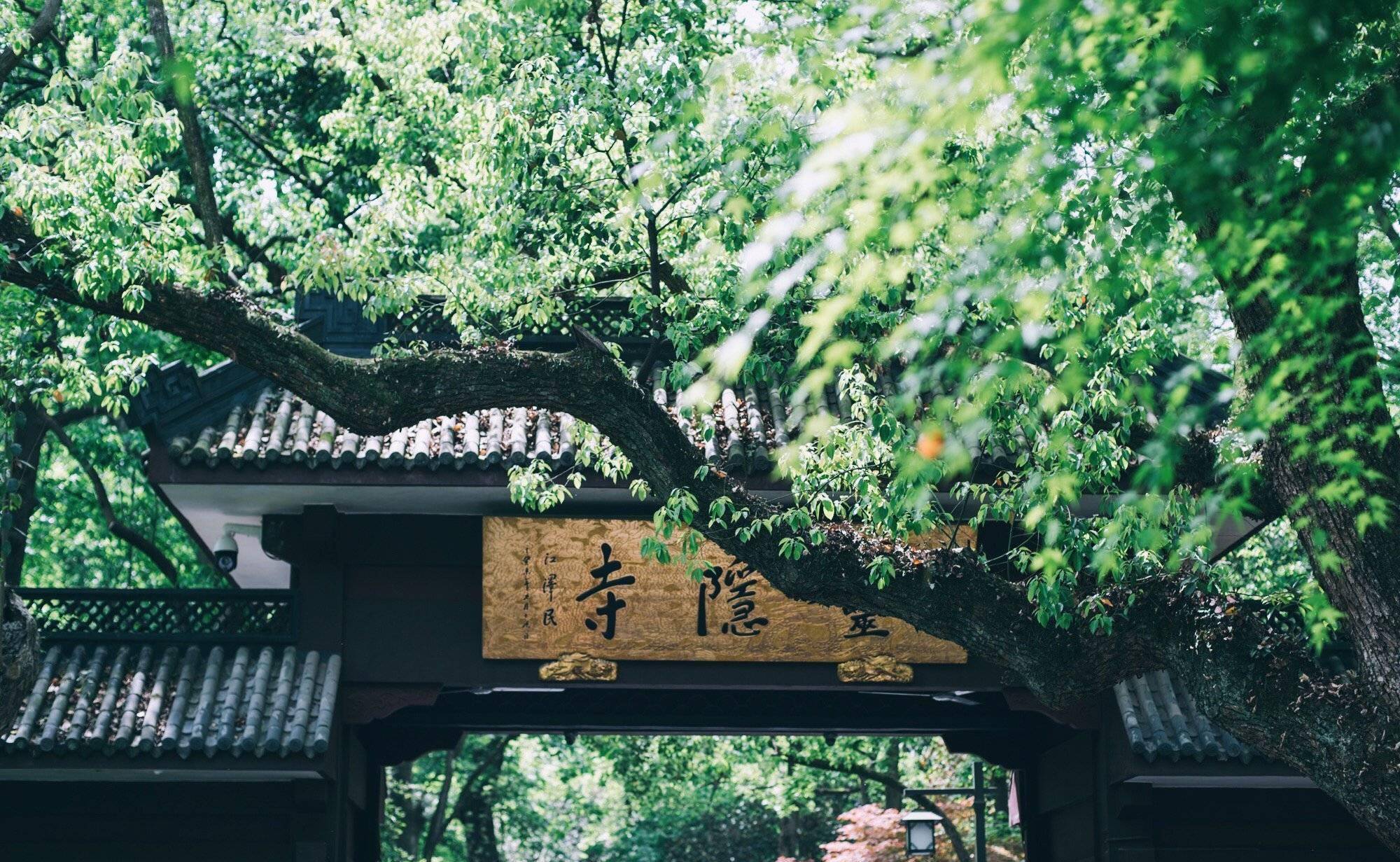 浙江最具代表性的2座寺庙，都是国家5A景区，一个门票75一个门票0