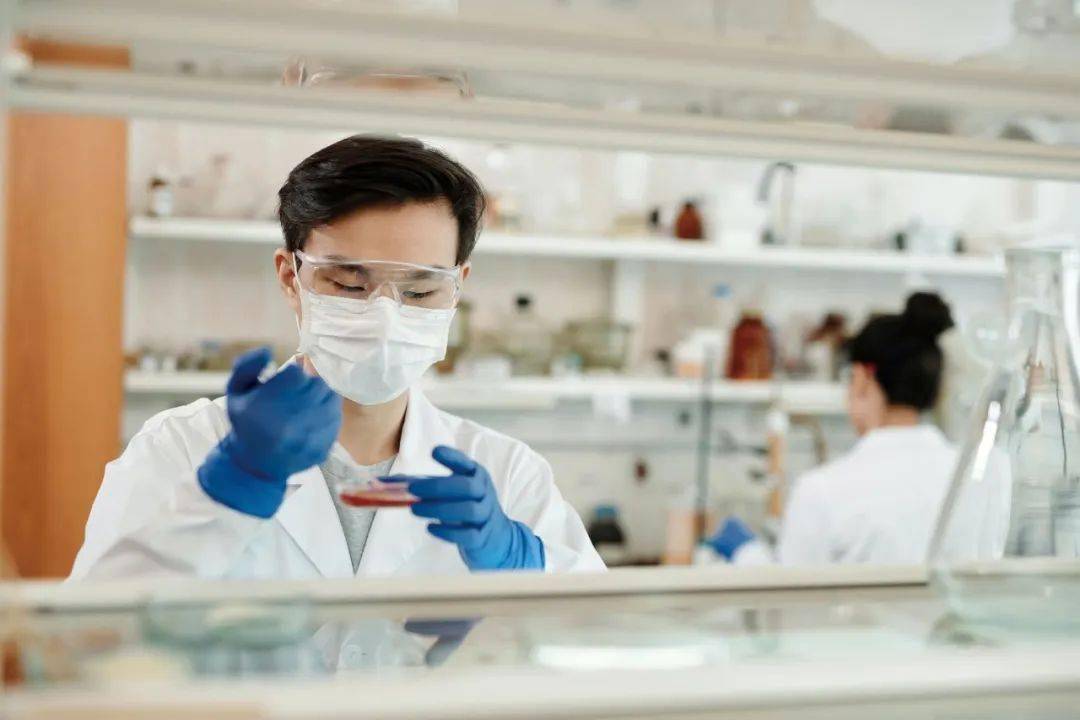 全球科技创新中心：构成要素与创新生态系统