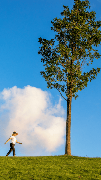 感受那份不一样的情感，辰山植物园征集《孤独的树心情故事》