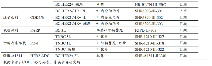 恒瑞医药:黎明将至"创新 国际化"引领新征程【东吴