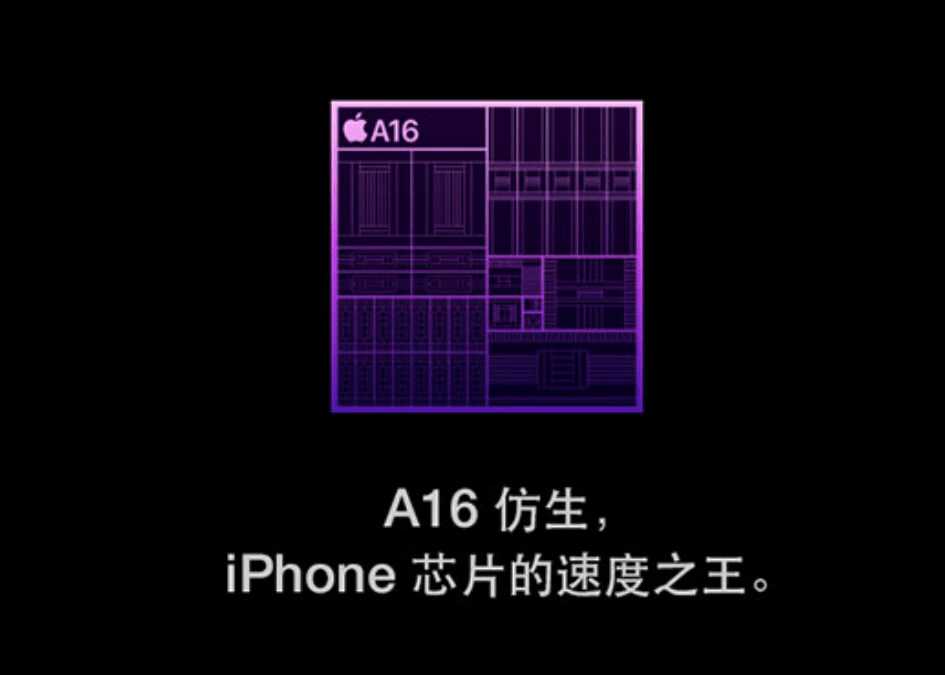 iPhone 14ϵУд