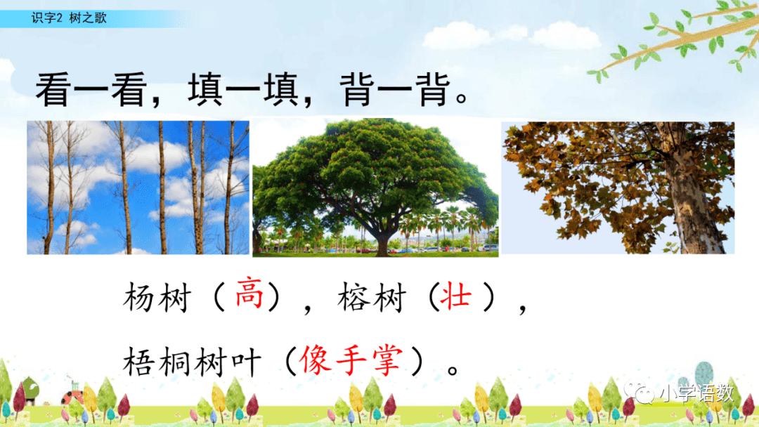 二年级语文上册识字2《树之歌》图文讲解_ng_树木_梧桐
