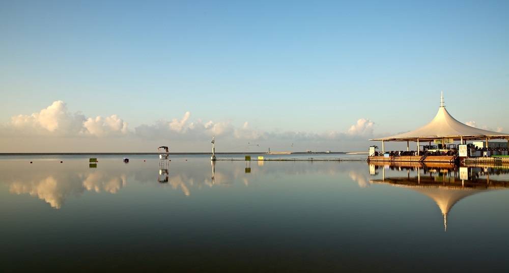 行走的奉贤|坐拥13.7公里黄金海岸线 海湾旅游区奋力擘画“唯美”蓝图