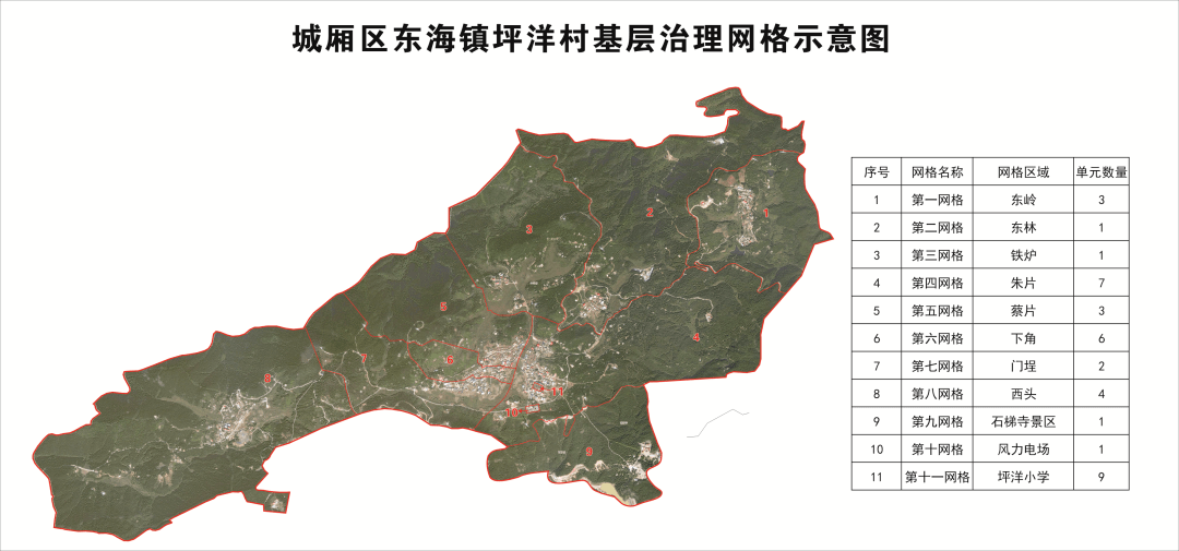 村书记"练兵比武 东海镇坪洋村:党建引领聚合力,银发力量促振兴