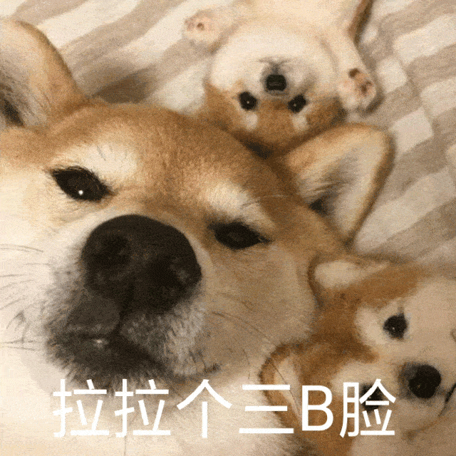 沙雕可爱表情包 i 真好 又来一个傻子_熊猫头_感情_爱情