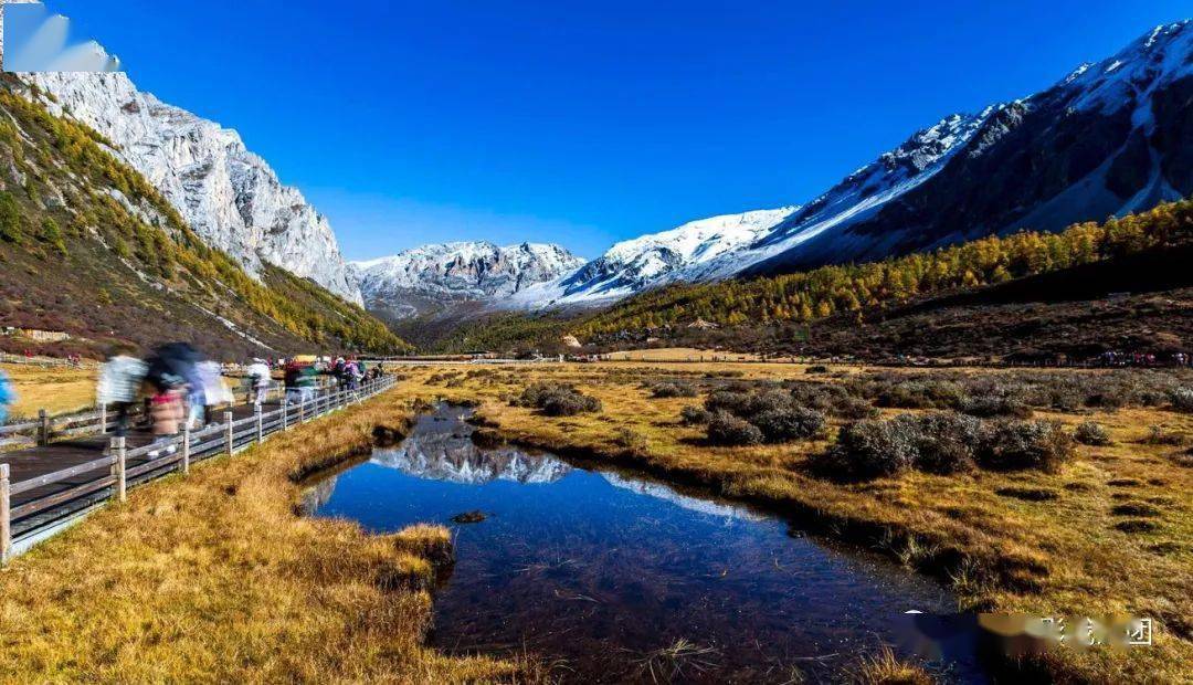 ��ȫ����ļ�����㴨��֮�����Ƕ����뿨�������﹵�������� ...