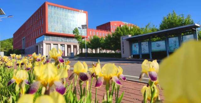 通化师范学院,白城师范学院:通过两所本科院校,认识两座城市_人口