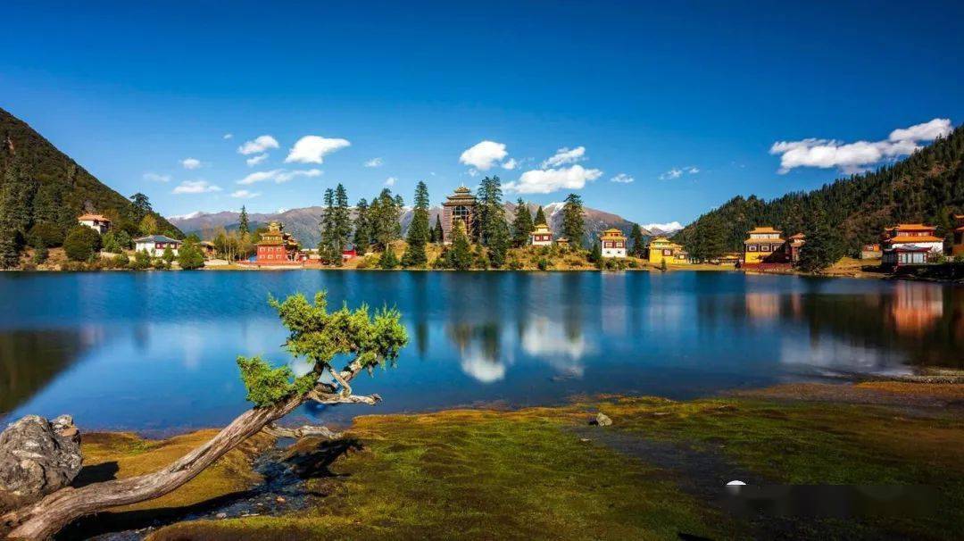 ��ȫ����ļ�����㴨��֮�����Ƕ����뿨�������﹵�������� ...