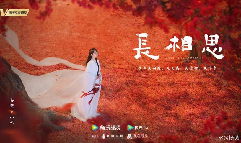 杨紫的《长相思》也让人好期待!