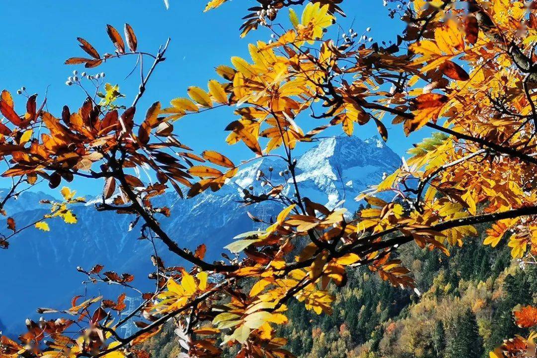 错峰赏秋,提前占位看这里~_路线_雪山_冰川