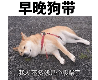 一旦中招100%死翘翘！被狗抓伤没出血，也要打狂犬病疫苗！