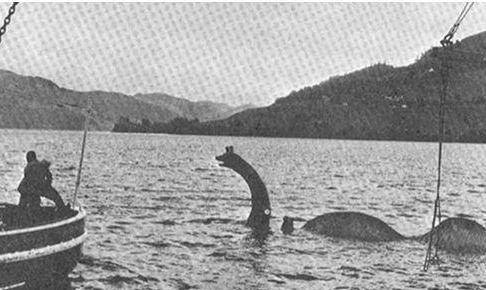 1933年后出现的"尼斯湖水怪,真相到底是怎样的?_圣哥_怪兽_人们