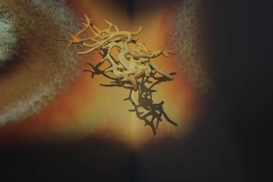 �����죺�����˶Ծ��ӵ����������Ӧ���á��ж���������