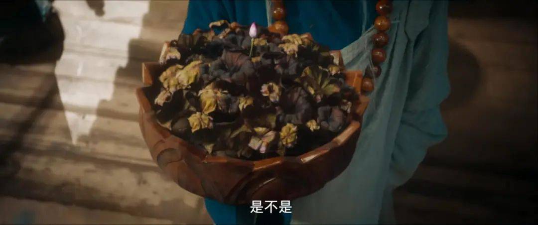 电影_荷花_妖魔