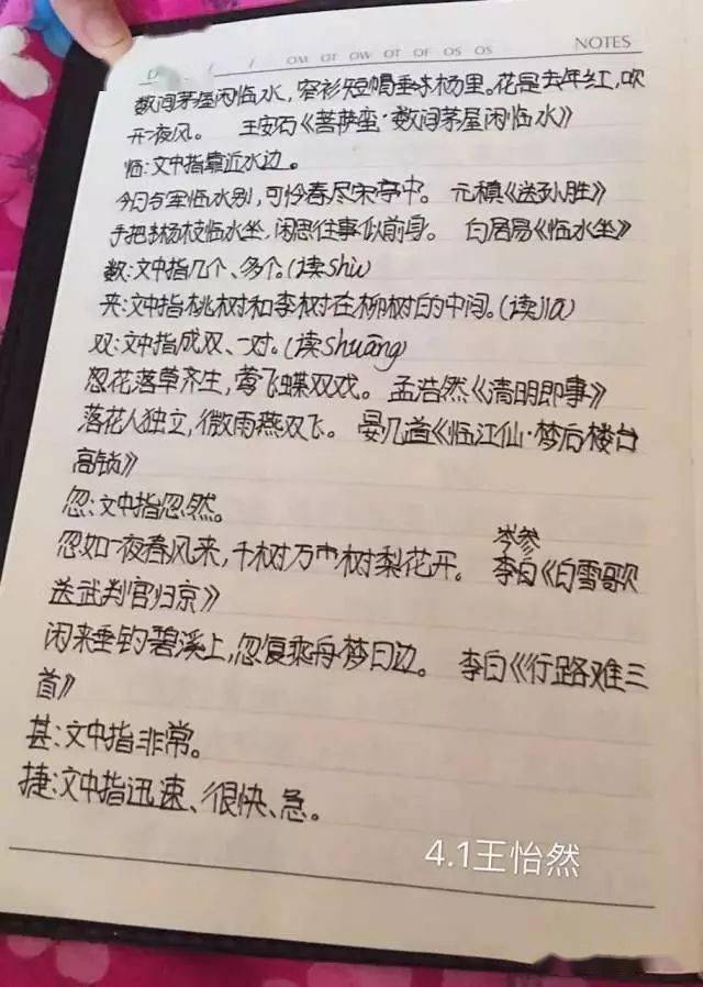 【小学生必读小古文100篇】第三篇：《芦花》