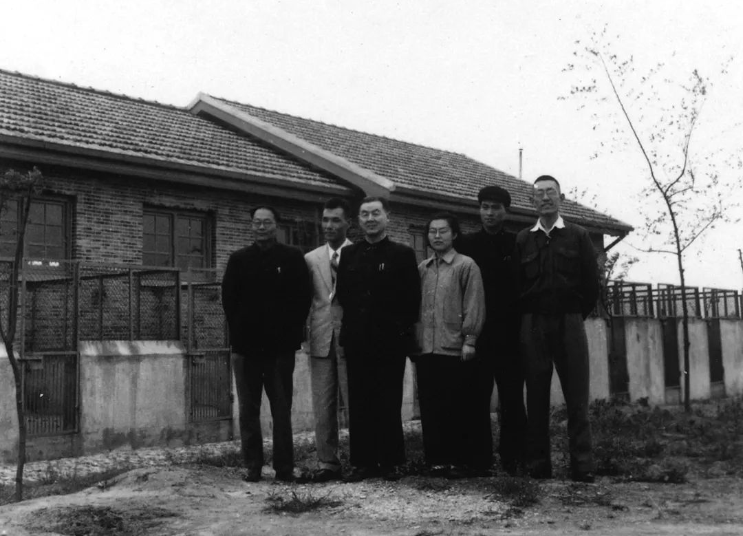 文章配图-6