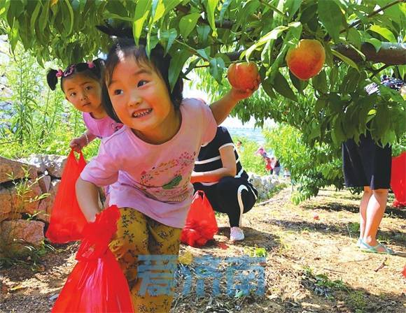 从“一花独放”到“花开满园” 济南乡村旅游全域美