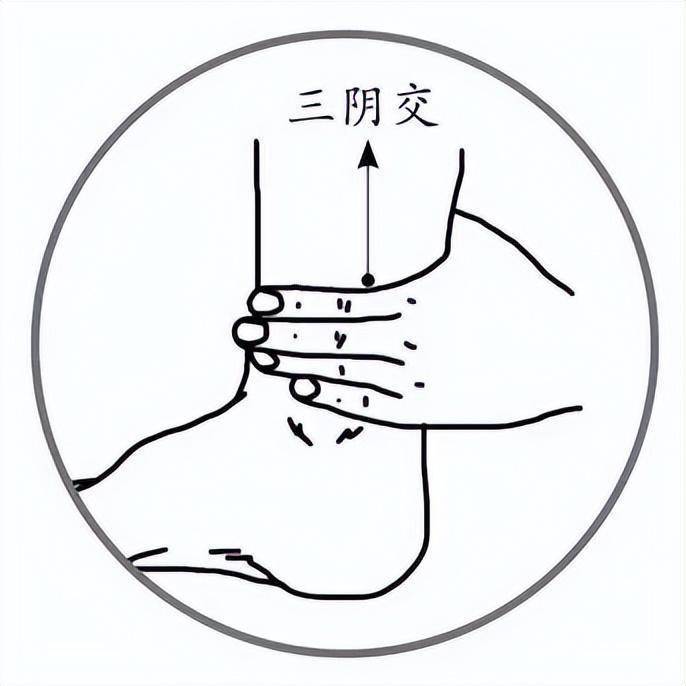 三阴交是肝,脾,肾足三阴经交汇处,通调肝,脾,肾三经气血,一举三得.
