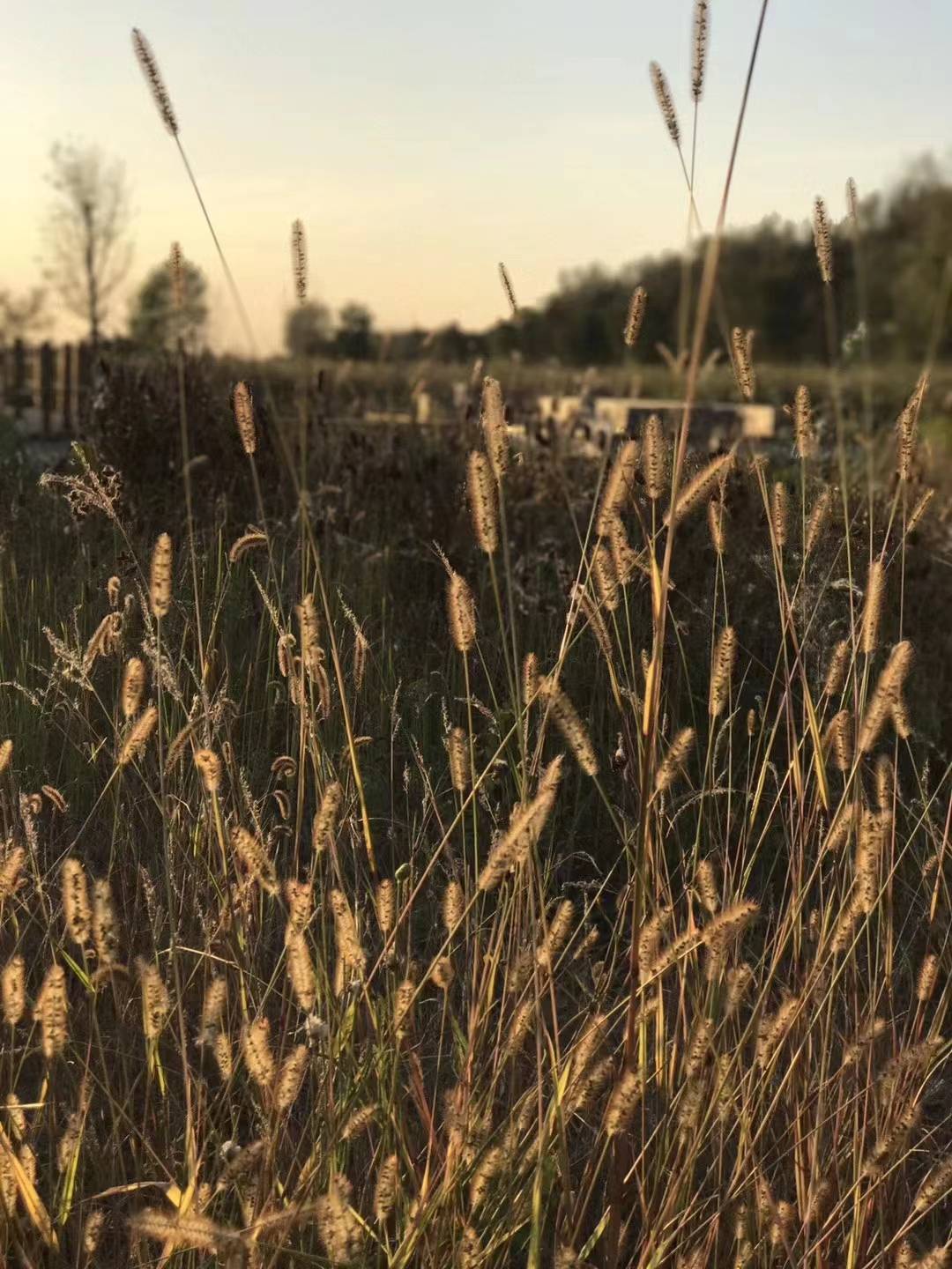 上海三大助孕公司费用（原创
            10月14日-10月20日贵人一波接一波，横财一发再一发，大赚特赚的3大生肖）