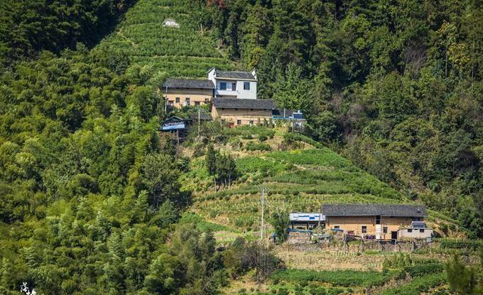 安徽歙县有一座千年古村,位于高山之上,深受自驾爱好者喜爱_竹岭_村落