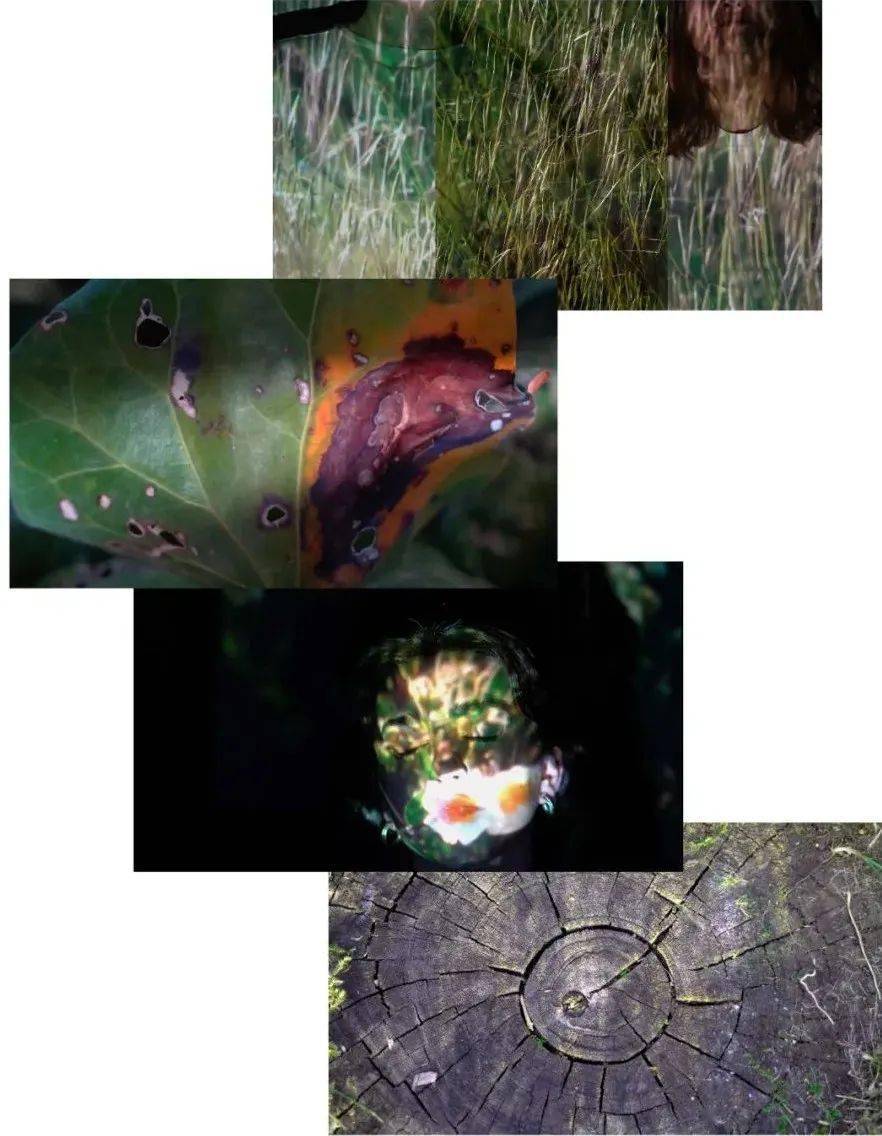 �ھŽ���Ϲ�����Ӱ˫��չ��Ʒ�������䡢�¼��¸�У��