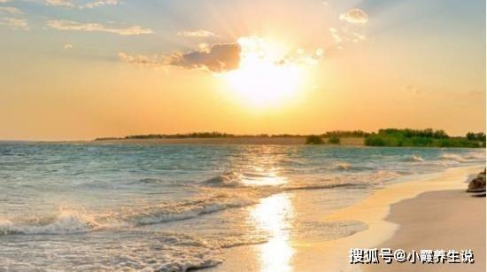 成都试管代妈公司（容易让男人心动的四个生肖女，温柔如水魅力十足，其中有你吗？）