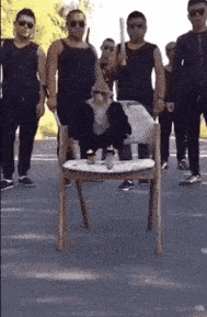 原创
搞笑GIF:妹子再漂亮,抢镜也抢不过二哈