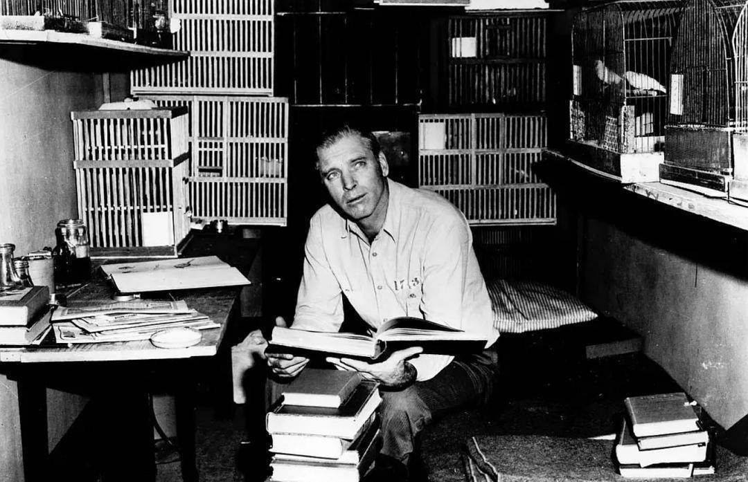 《阿尔卡特兹的养鸟人(birdman ofalcatraz)是1962年由约翰·弗兰克
