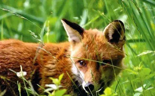 10���������ݵĵ�Ӱ��С���ѵ�Ц����ĺ�����