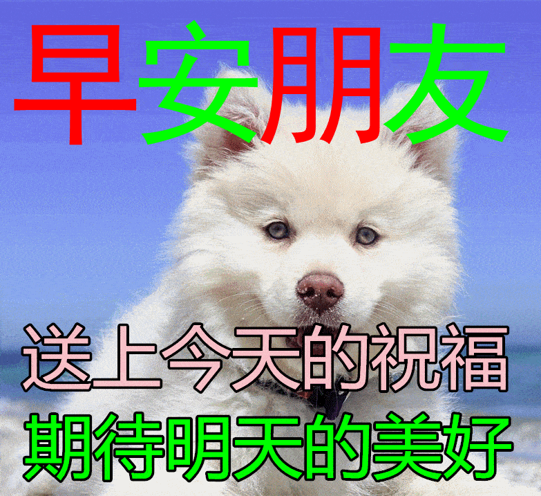 上海哪个助孕机构好（9张秋日最新特漂亮早上好鲜花动画图片带祝福语 2022最美秋日早安问候祝福图片）