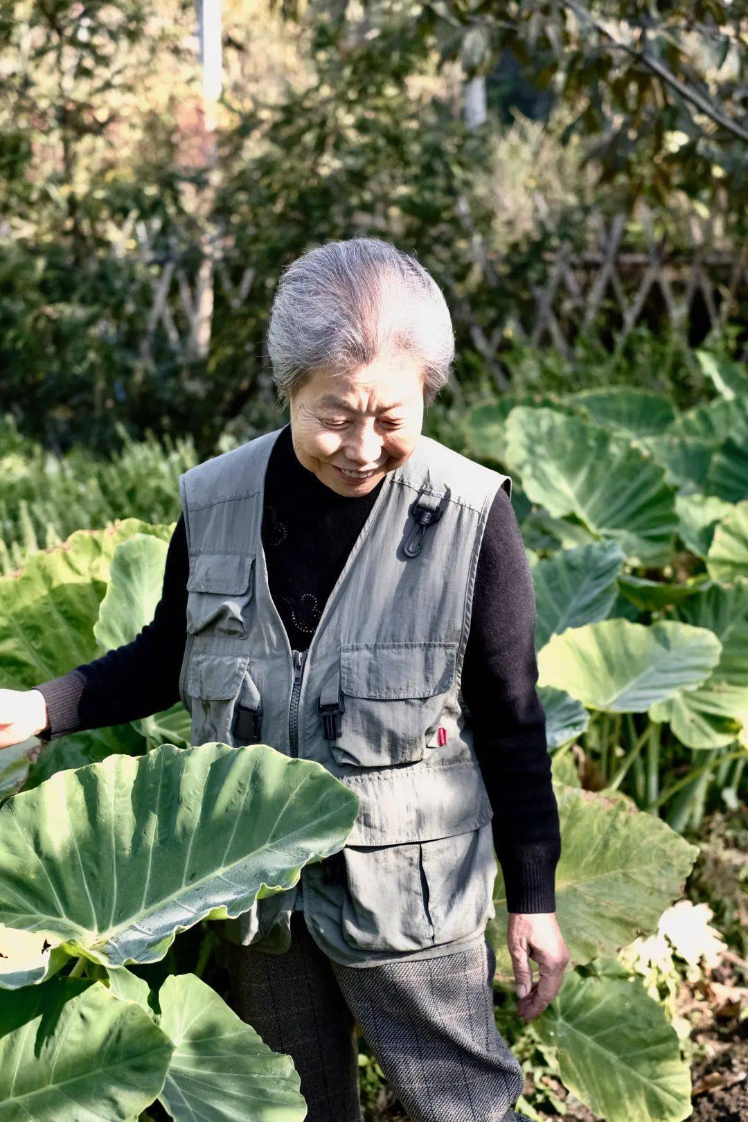 成都三大助孕公司（与癌症纠缠30年，她始终坚持自然疗愈）