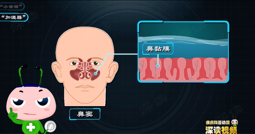 鼻窦炎发病机制动漫版_鼻腔_空气_病原体