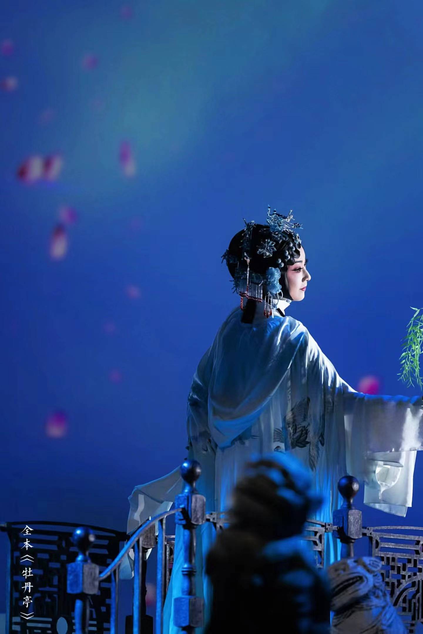 ����Ϸ���˼����Ļ����У�����ȫ��55����ĵ��ͤ������ȫò ...