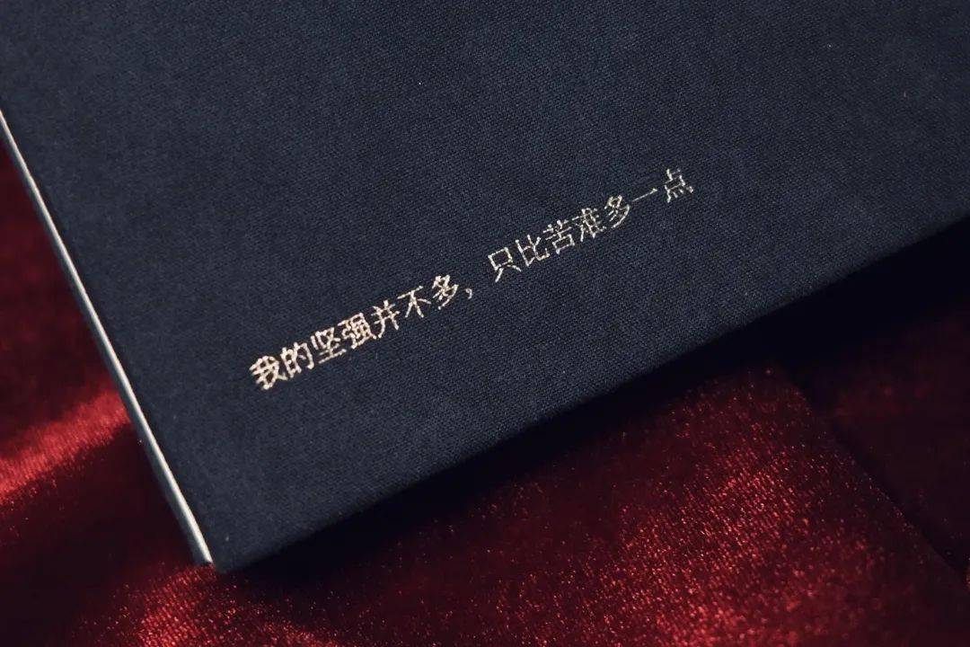 千呼万唤的书名笔记本来了！读书人必入！  日记大全100字 第13张