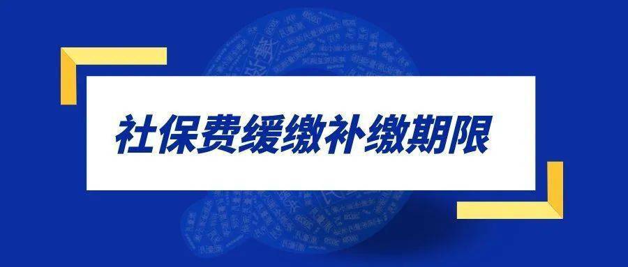 衢州人,三项社保费缓缴补缴期限延长至2023年底!_企业_单位_政策