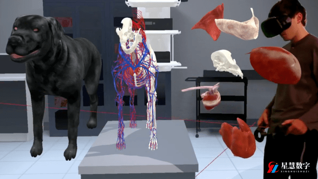 3D网赚平台（人体解剖学3D仿真标本教学系统）3D动物解剖实验室 虚拟仿真实训平台，不要告诉别人，(图3)