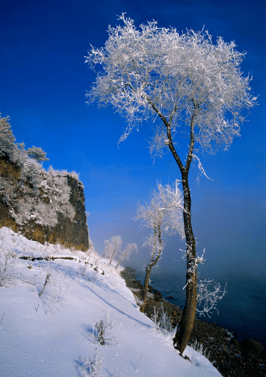 ������������ · ������ɽ